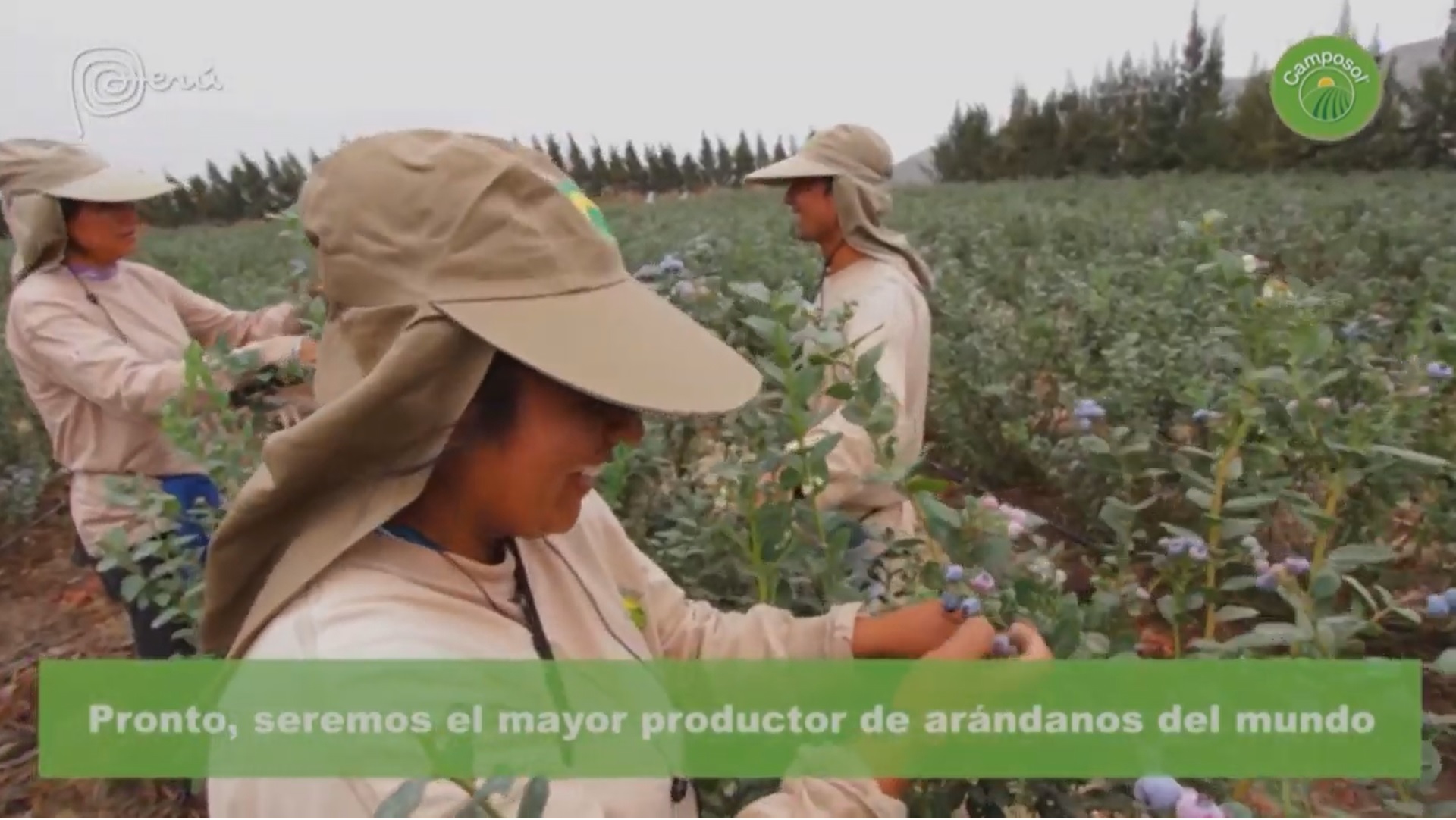 Camposol acepta el reto de sostenibilidad hídrica